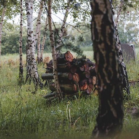 Domki na Górniej Łące - Domek Słowik Lazany Exterior foto
