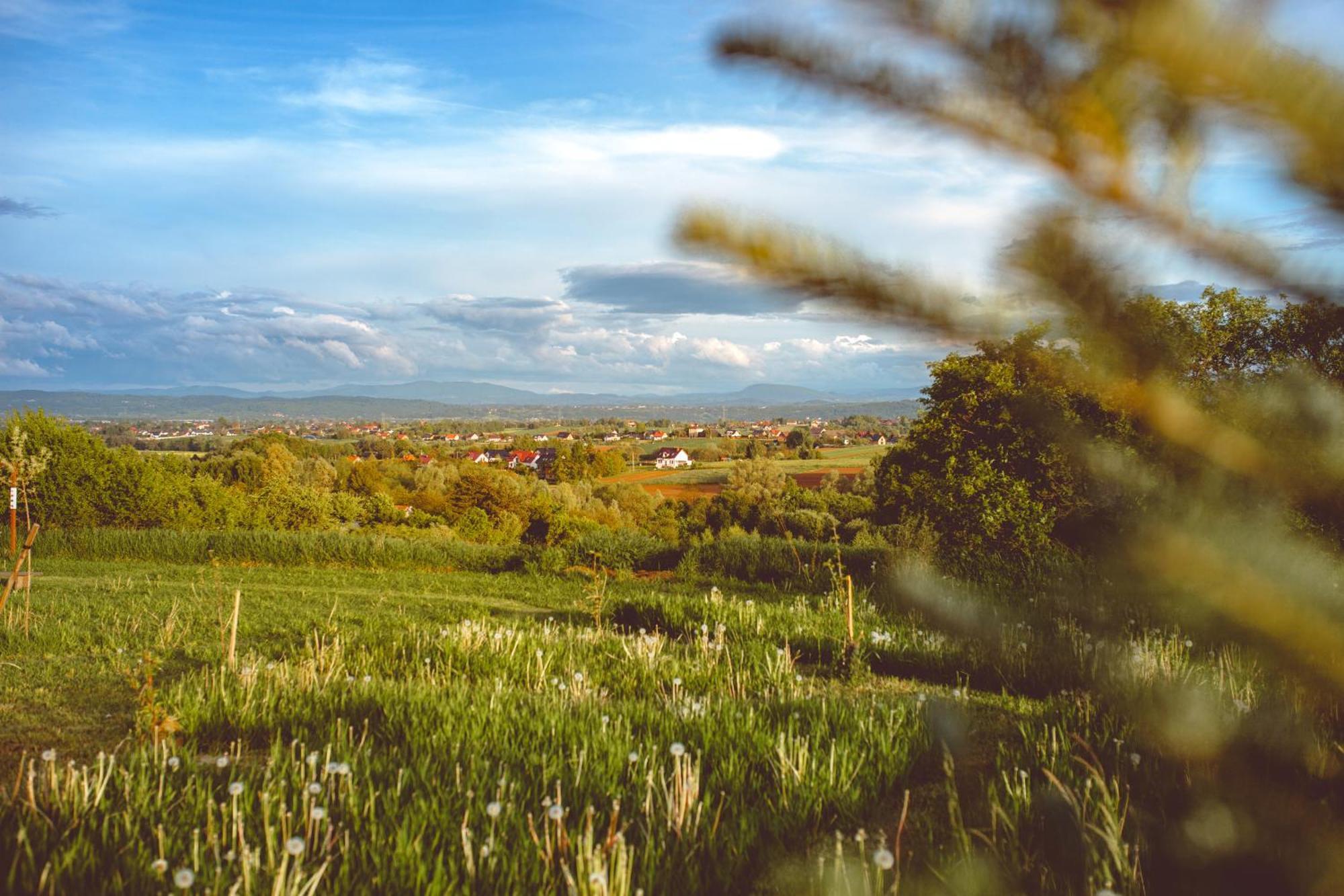 Domki na Górniej Łące - Domek Słowik Lazany Exterior foto